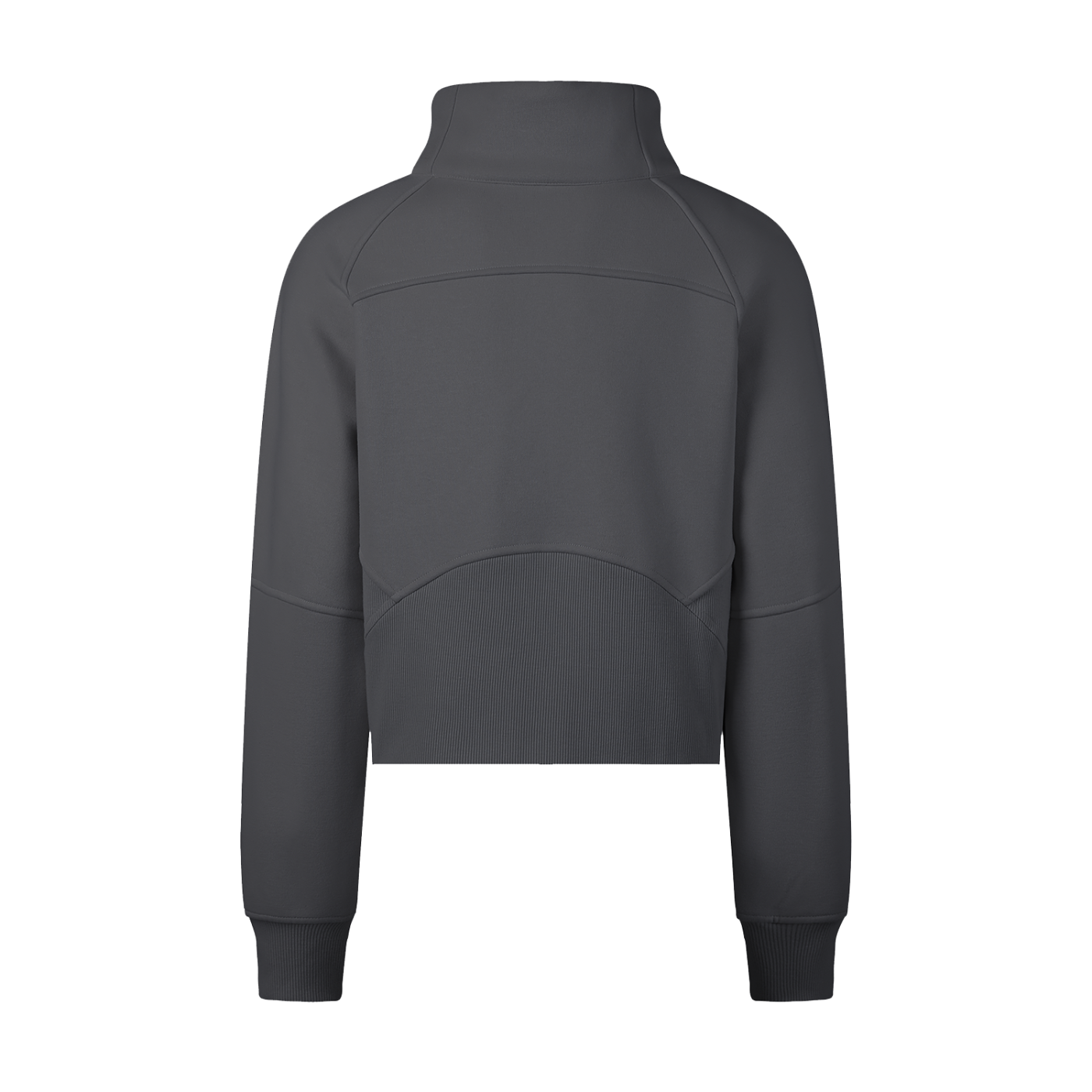 Wing Logo Cropped Half-Zip Hooded Sweatshirt in Gray, back view.