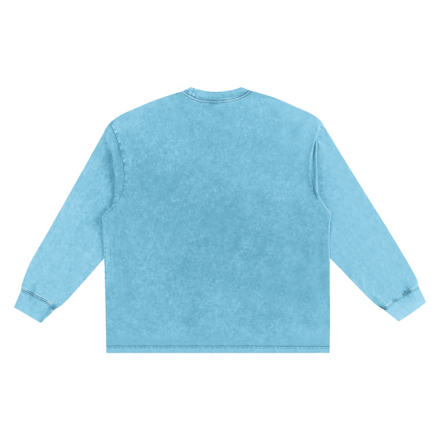 Wing Logo Snow-Washed Frayed Long Sleeve Tee in Sky Blue, back view.