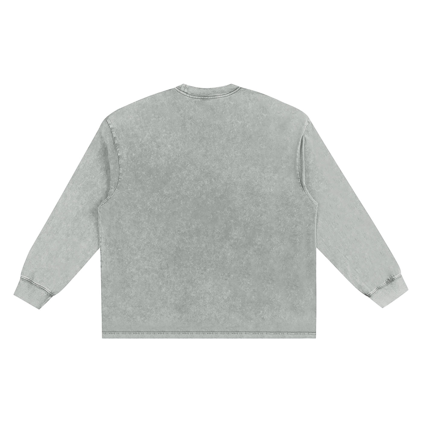 Wing Logo Snow-Washed Frayed Long Sleeve Tee in Light Gray, back view.