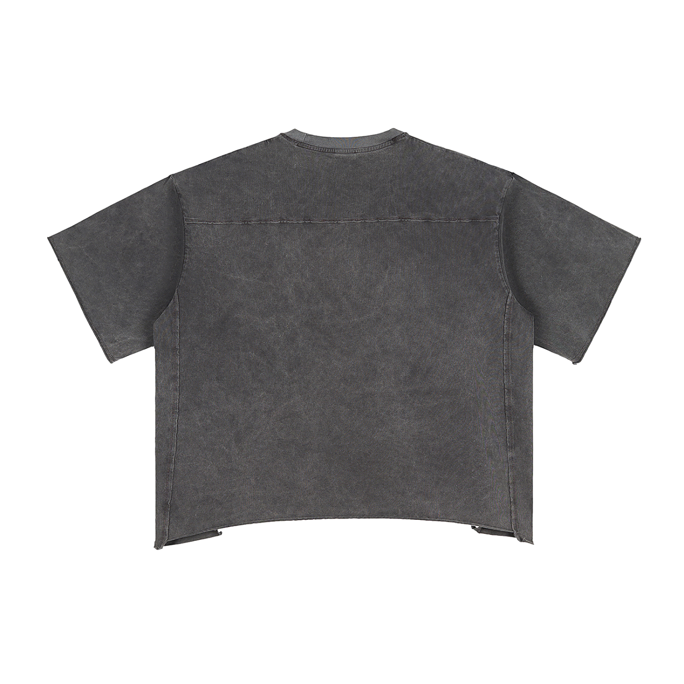 Galovte Script Raw-Edge Snow-Washed Boxy Tee in Gray, back view.