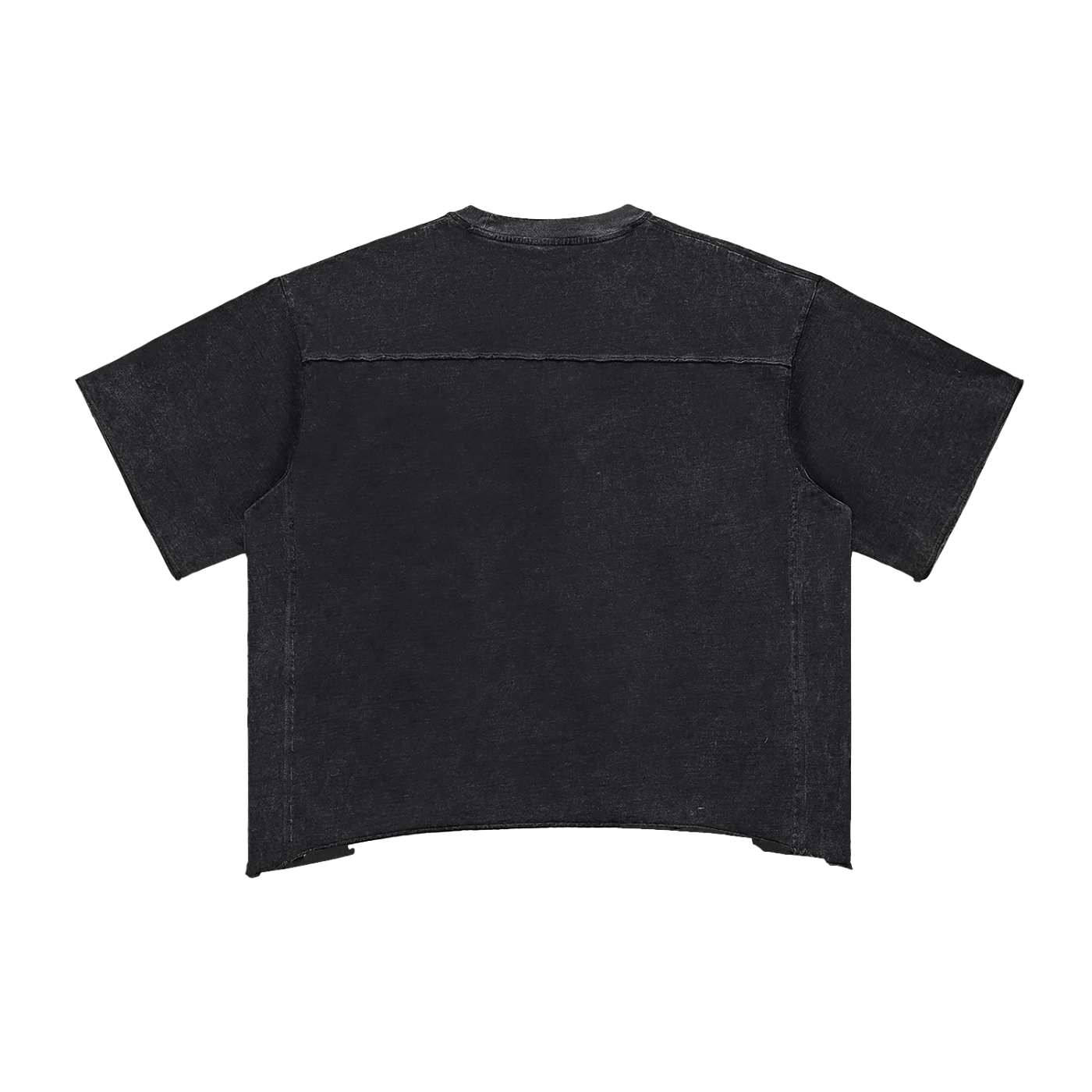 Galovte Script Raw-Edge Snow-Washed Boxy Tee in Black, back view.