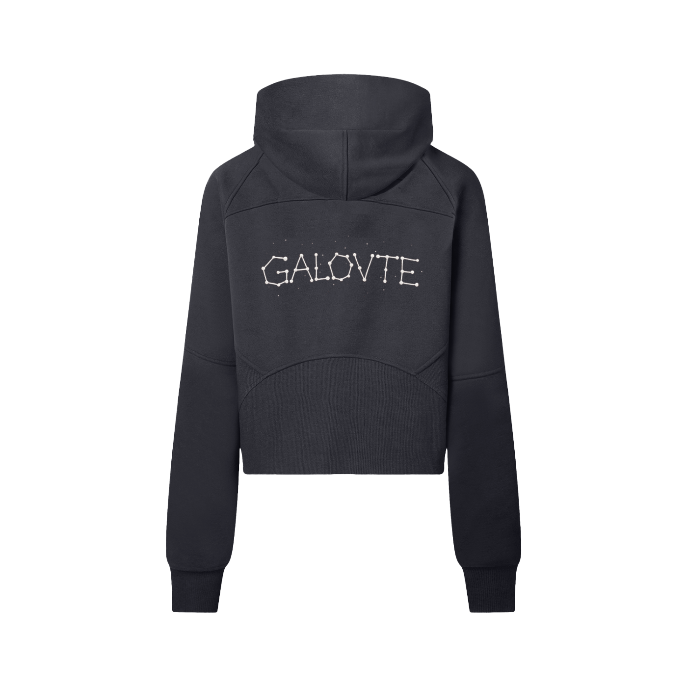 Wing Logo Cropped Half-Zip Hoodie in Black, back view.