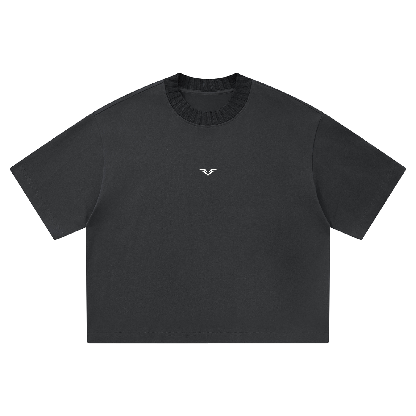 Wing Logo Heavyweight Boxy Cotton Tee in Dark Gray, flat lay.
