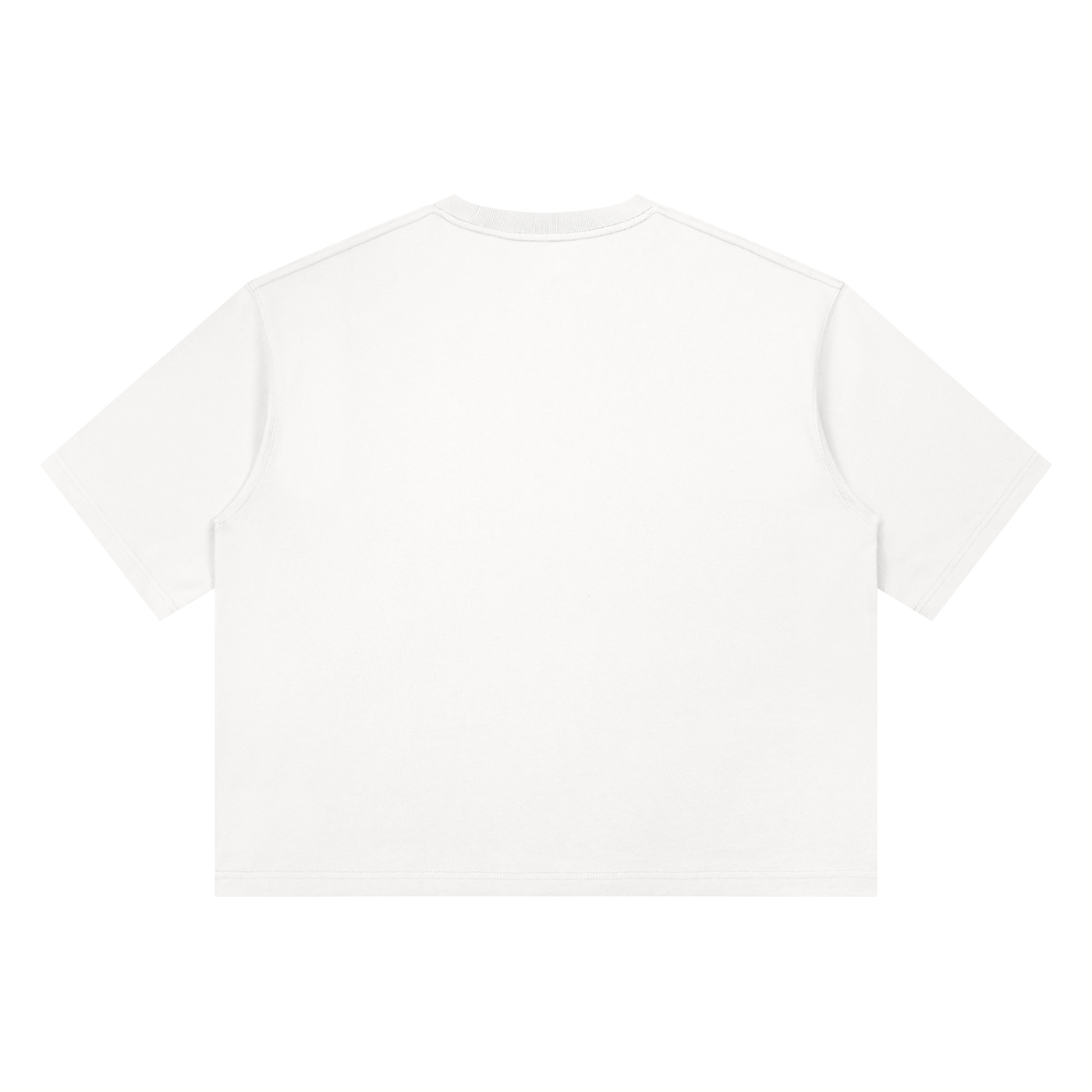 One Day At A Time Mid-Century Sunset Panel Tee in White, back view.