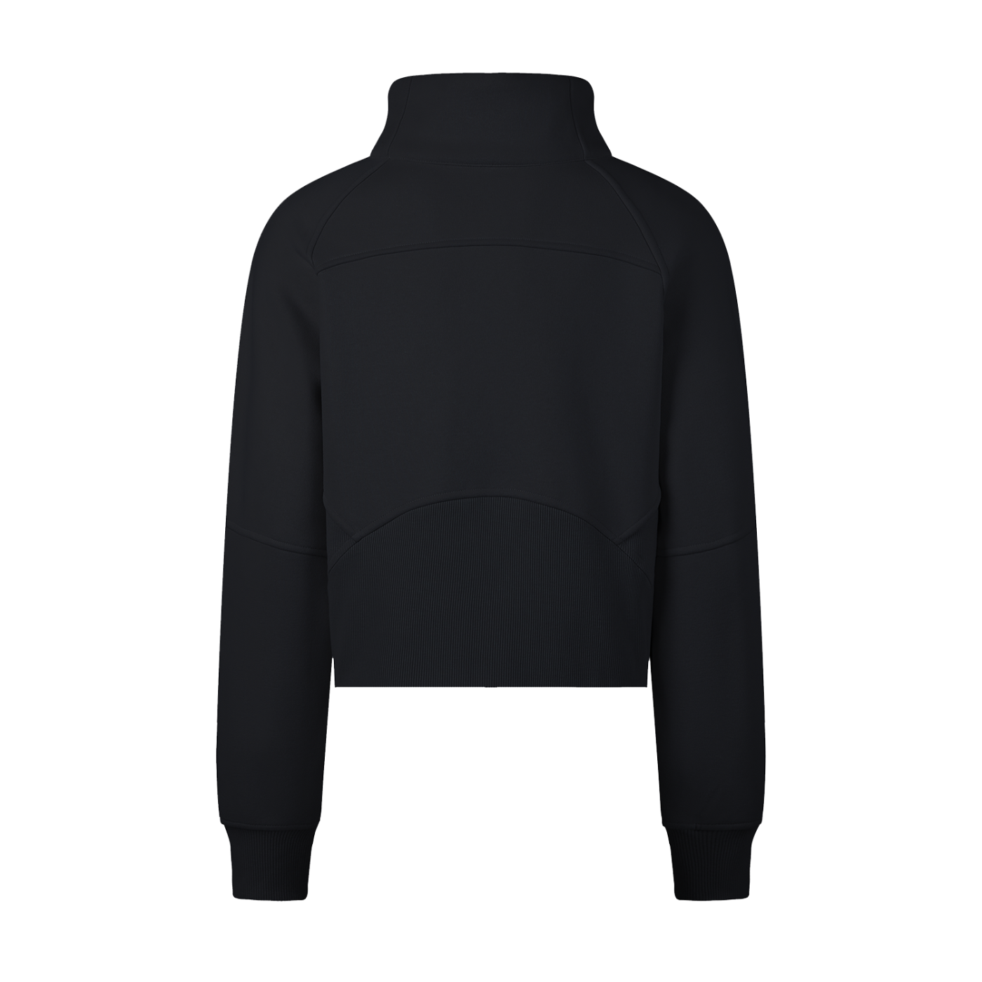 Wing Logo Cropped Half-Zip Hooded Sweatshirt in Black, back view.