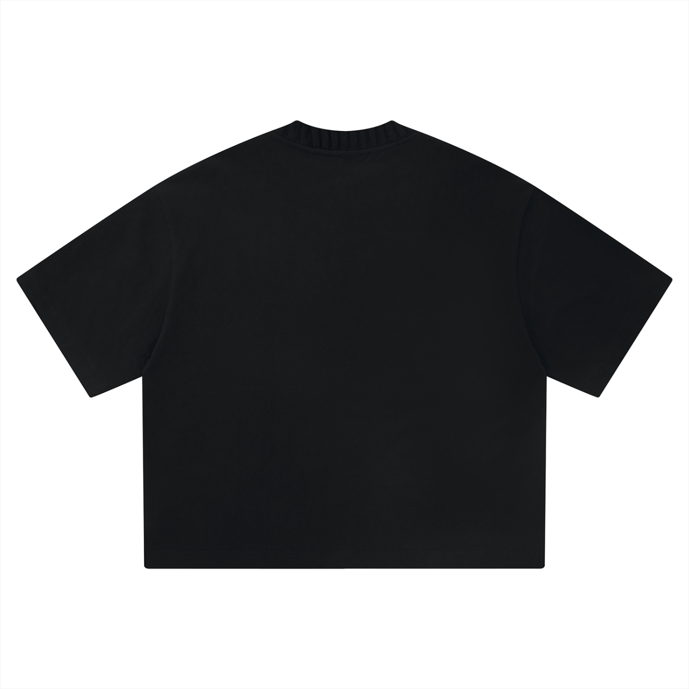 Wing Logo Heavyweight Boxy Cotton Tee in Black, back view.