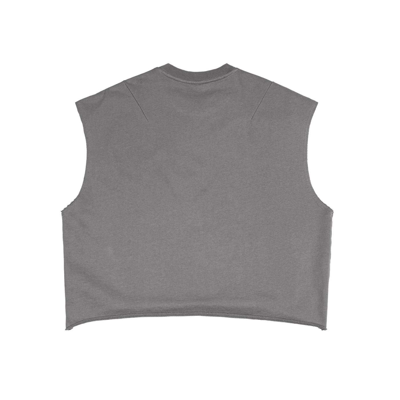 Never Give Up Weightlifting Bear Training Tank in Gray, back view.