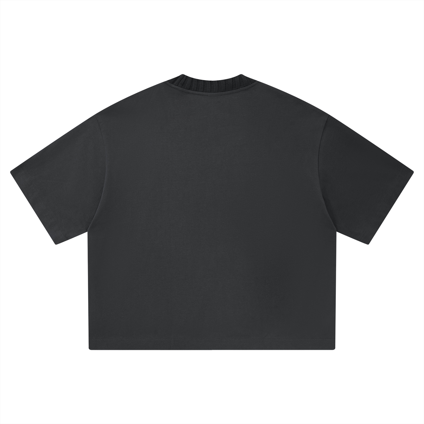 Wing Logo Heavyweight Boxy Cotton Tee in Dark Gray, back view.